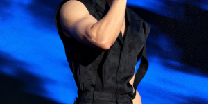 <?php the_title(); ?>